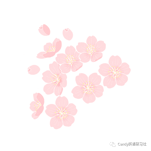 免费资源：神级写作教材《Great Writing》精讲课，刷完F级，小学英语考试阅读写作满分过！