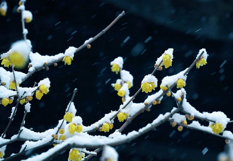 640?wx_fmt=png&tp=webp&wxfrom=5&wx_lazy=1&wx_co=1