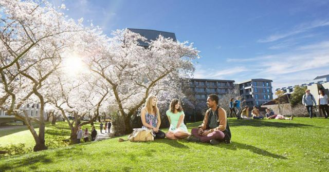 为理工科正名｜谁说我们无聊？坎特伯雷大学热门专业有趣着呢！