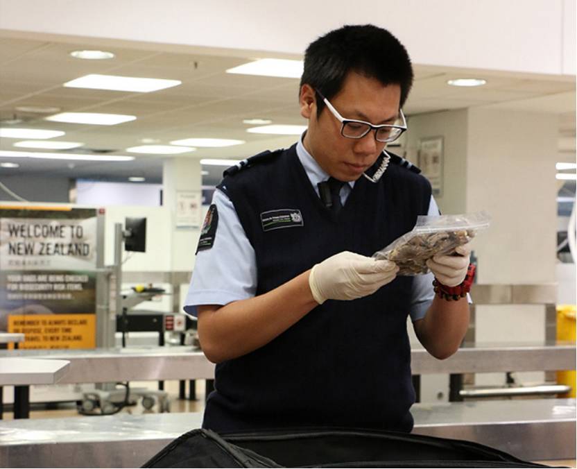 新西兰最全入境指南