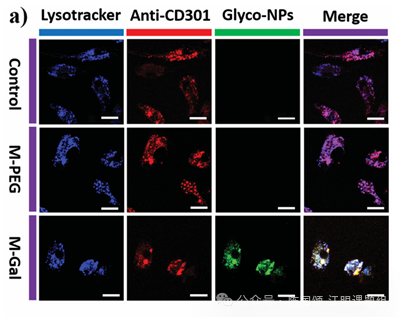 图片包含 应用程序  AI 生成的内容可能不正确。