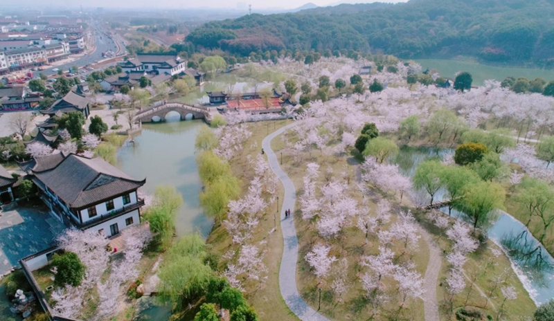 香山游客的鳄鱼漫步