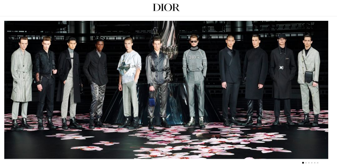 dior标志图片大全_迪奥标致_迪奥标志