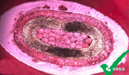 端子剖面不良分析及解决方案的图48