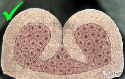 端子剖面不良分析及解决方案的图5