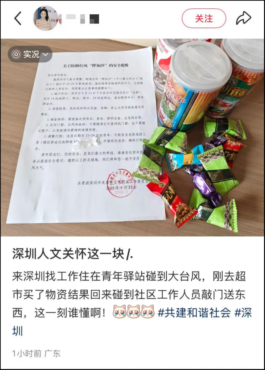 深圳不语只是一味提前砍树