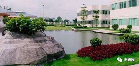 中山属于哪个省_中山属于广东省哪个区域_中山是省还是市