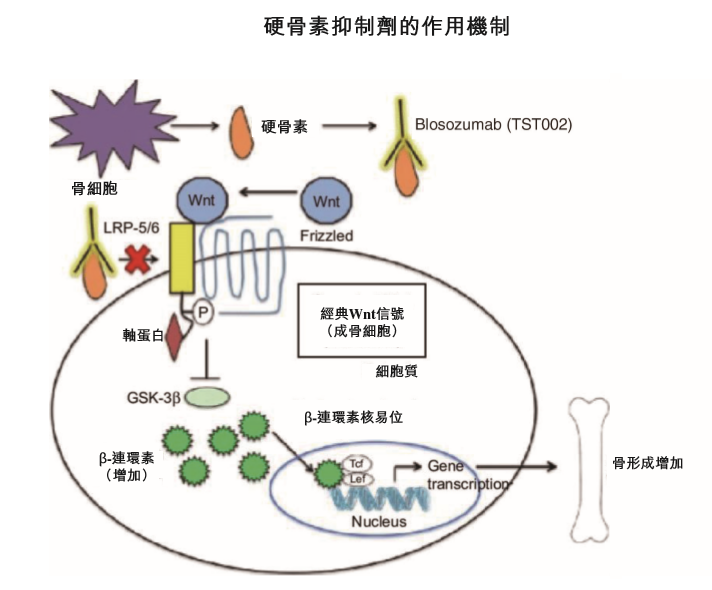 创胜集团在港交所递交IPO申请，9款在研新药助力资本之路！