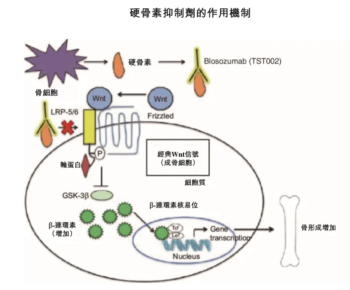 创胜集团在港交所递交IPO申请,9款在研新药助力资本之路! 创胜集团在港交所递交IPO申请,9款在研新药助力资本之路!