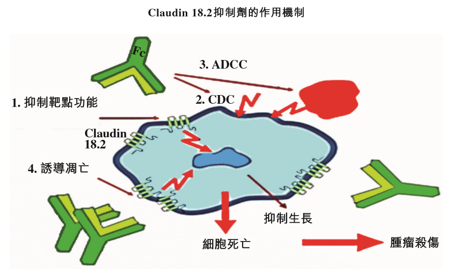 创胜集团在港交所递交IPO申请，9款在研新药助力资本之路！