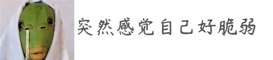 2.png 图片