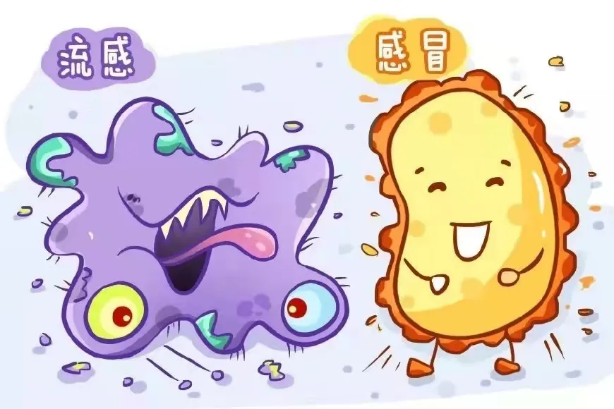 4.png 图片