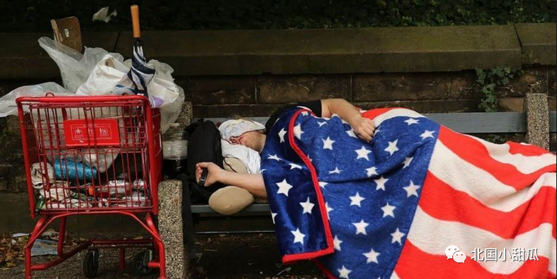 罗玉凤哭诉：在美十年，人不如狗！背后，藏着60万人不能说的秘密（视频/组图） - 32
