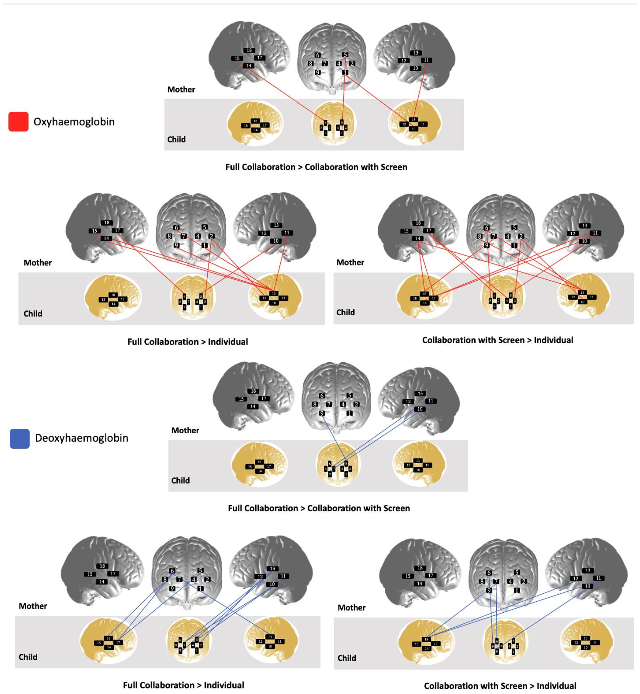 發(fā)展性 fNIRS 超掃描數(shù)據(jù)分析流程優(yōu)化：4-6 歲兒童與母親協(xié)作神經(jīng)連貫性