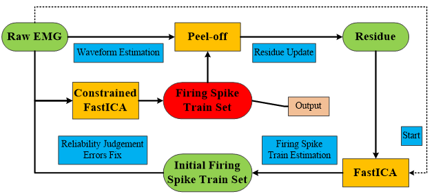 康复大学周平教授团队高密度表面肌电信号分解综述