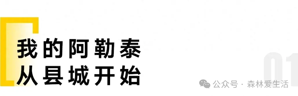 阿勒泰四季每一张都是壁纸