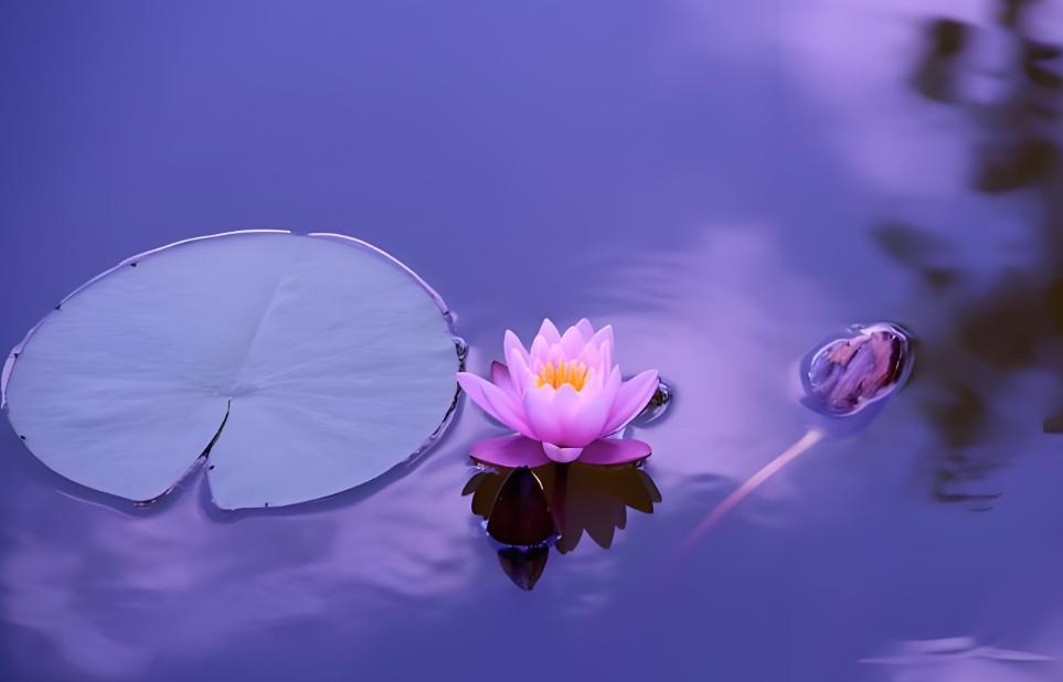 中元节血月