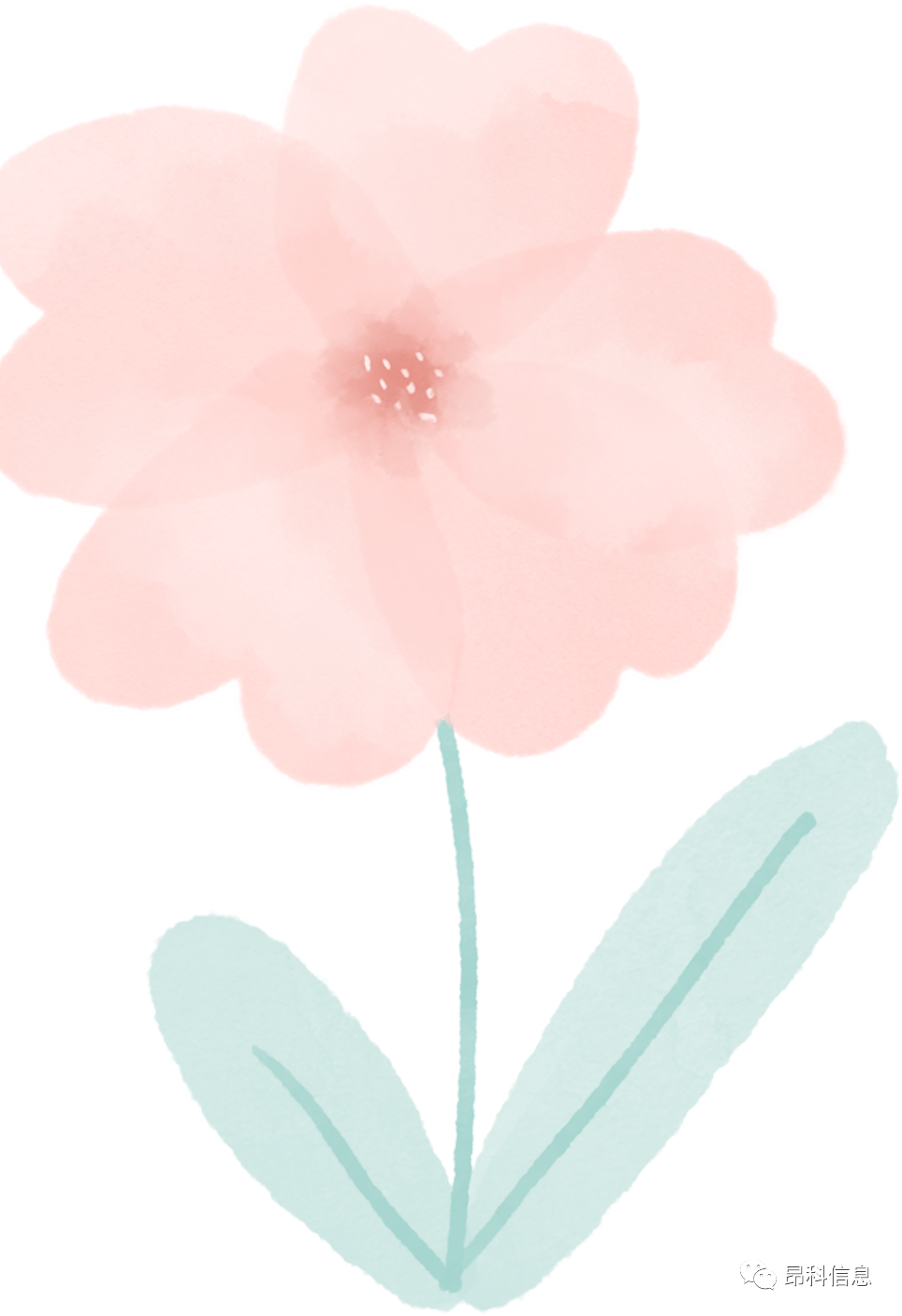 昂科 醫(yī)院無線網(wǎng)絡(luò) 醫(yī)院WIFI  移動(dòng)醫(yī)療