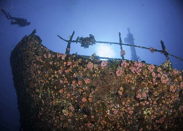 2-80歲都愛的島：一價全包住復式別墅，島上0自費，好玩還不累 旅遊 第18張