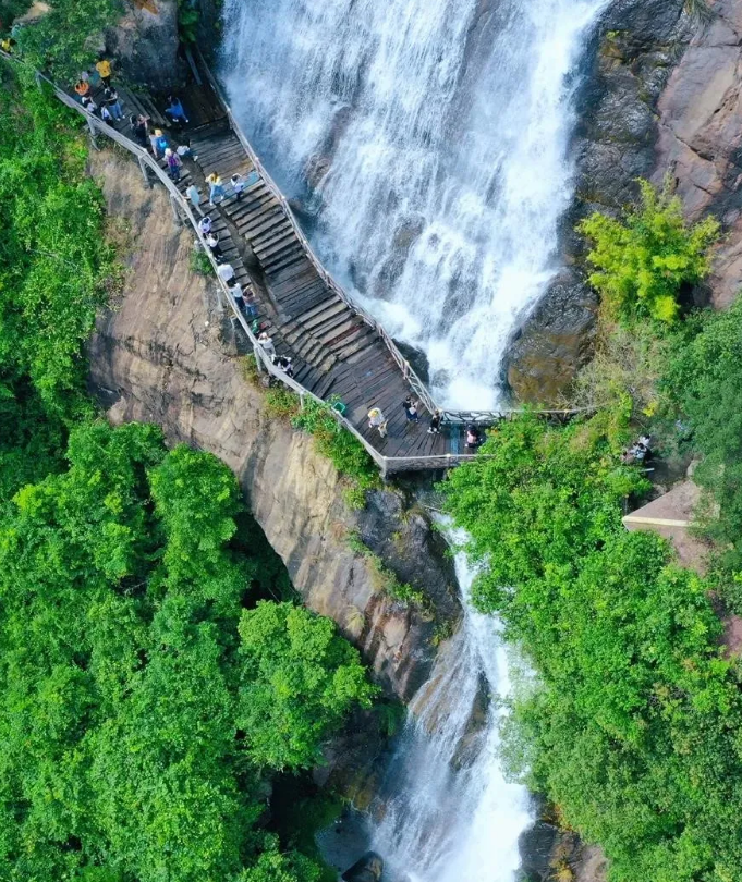 阳台就能跳下泳道,还有国家级温泉,四周原始森林密集,负离子含量感人-微信头条网 阳台就能跳下泳道,还有国家级温泉,四周原始森林密集,负离子含量感人