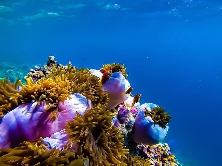 沙灘秒殺長灘島，浮潛吊打大溪地，此島千元住別墅性價比秒殺普吉 旅遊 第8張