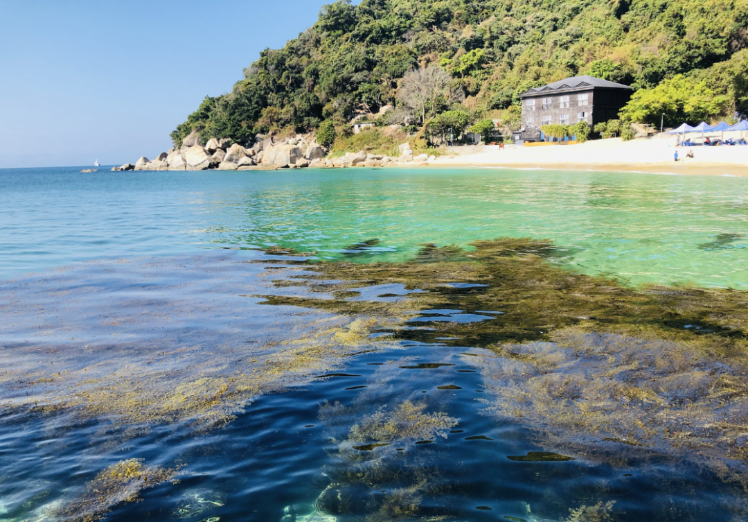 海水清得离谱 游人屈指可数 广东最像马尔代夫的五个不知名海湾 柠檬资讯