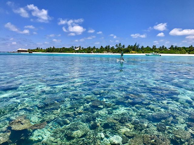 這島憑1片玻璃吸引全球社畜，種珊瑚孵海龜高逼格玩海，回國免隔離 旅遊 第7張