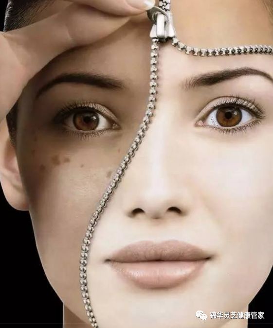 灵芝从内祛斑、增强免疫力！让你越活越漂亮年轻！