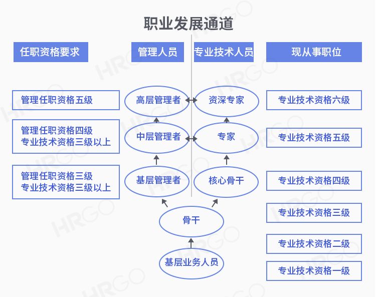 华为职业发展通道图片