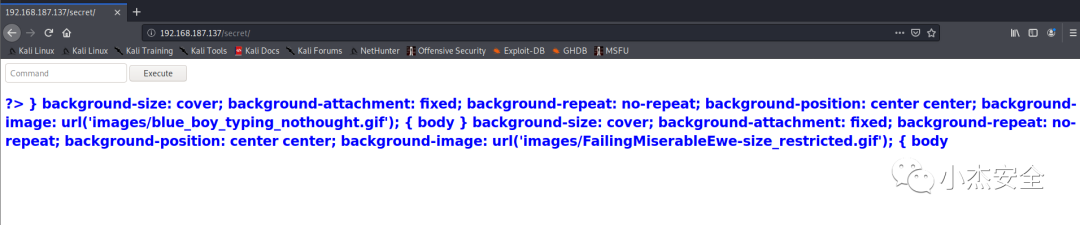 图20–CTF之一次曲折获取Flag的过程–seo优化_前端开发_渗透技术
