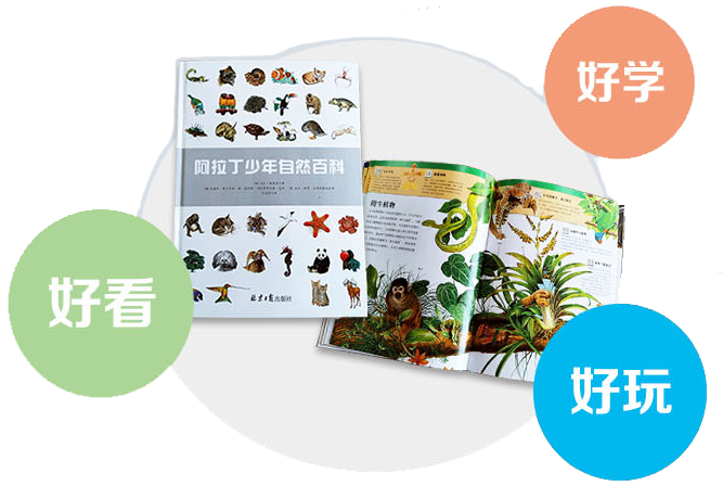 图片