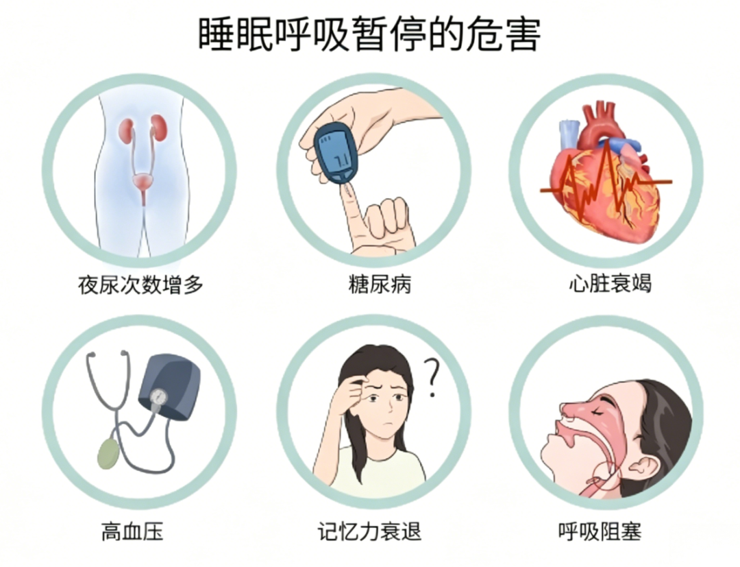 5.6打呼噜.png