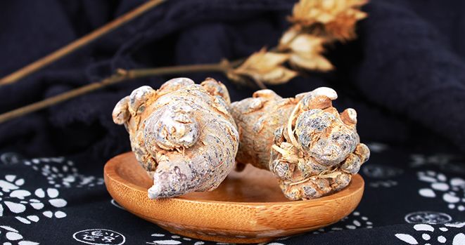 三七有18大作用，8种突出效果，但要注意这9点！