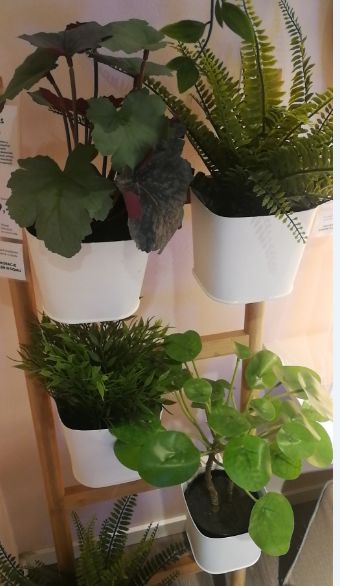 【行业观察】我在欧洲的商场，看透了中国低端产业的真相的图4