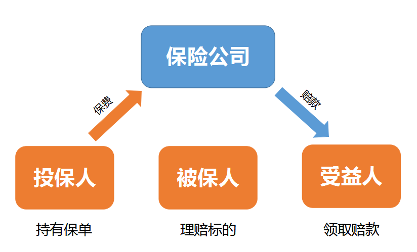 财富管理中的一颗明珠——人寿保险。