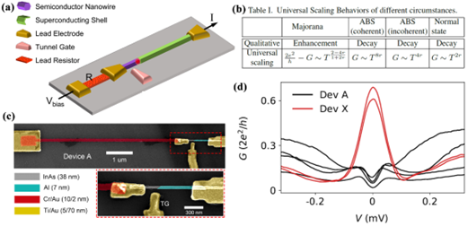 半导体所等在高质量半导体-超导纳米线研究方面取得系列进展的图4