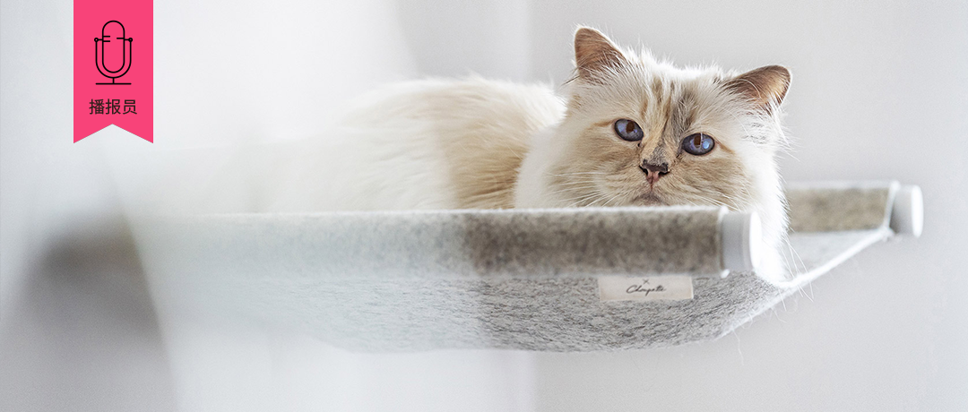 老佛爷的猫“联名”猫床系列，隈研吾对葡萄牙博物馆进行改造，西扎+卡洛斯新作：华茂艺术教育博物馆