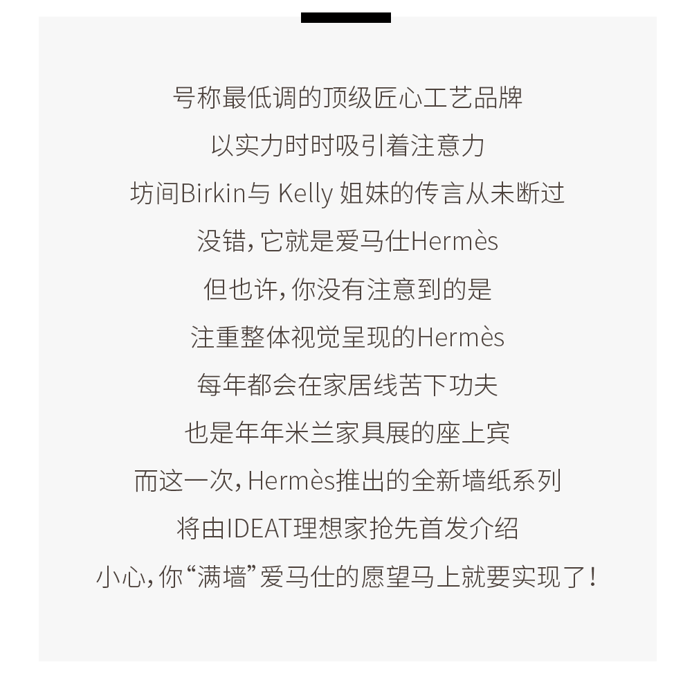 首度揭秘愛馬仕2020最新牆紙面料系列，心太野？我就要整面牆！ 家居 第3張