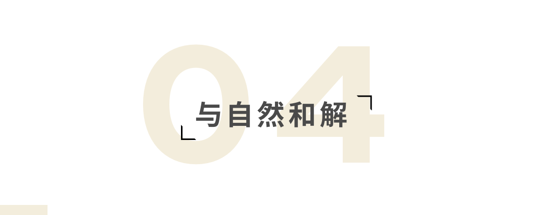 今天，我們為什麼黏在了沙發上 家居 第23張