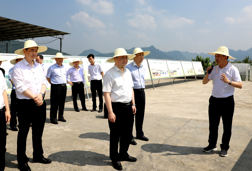 全市坝区产业结构调整现场观摩会走进绥阳