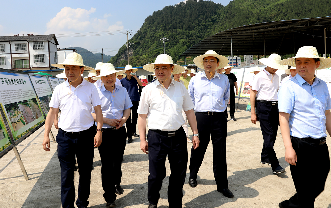 全市坝区产业结构调整现场观摩会走进绥阳