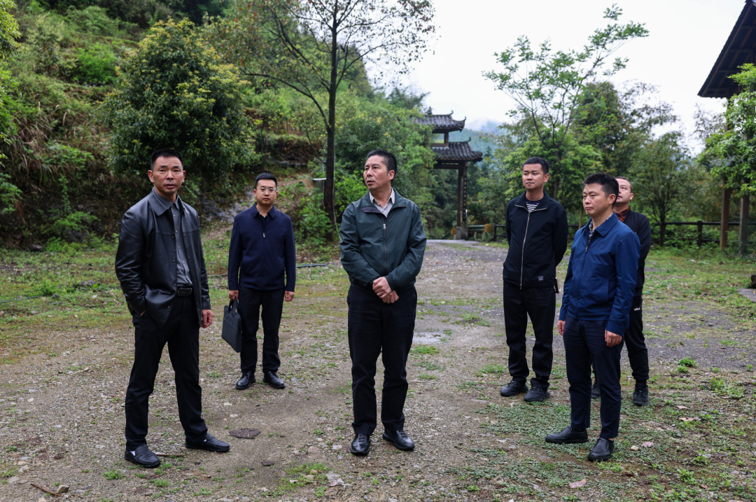 陈灿调研旅游产业化工作