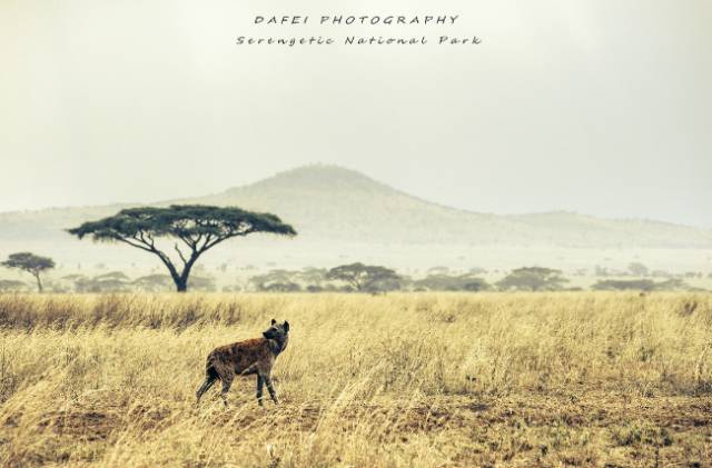 最狂野的浪漫，那些值得探秘的非洲美景！ 旅行 第21張