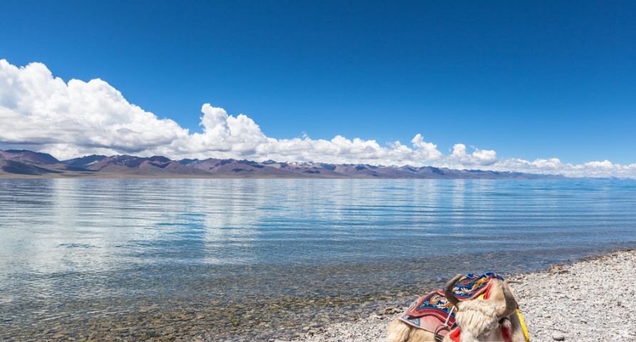 茶卡鹽湖淪為垃圾場：你的素質，正在摧毀下一代人的淨土 旅行 第9張