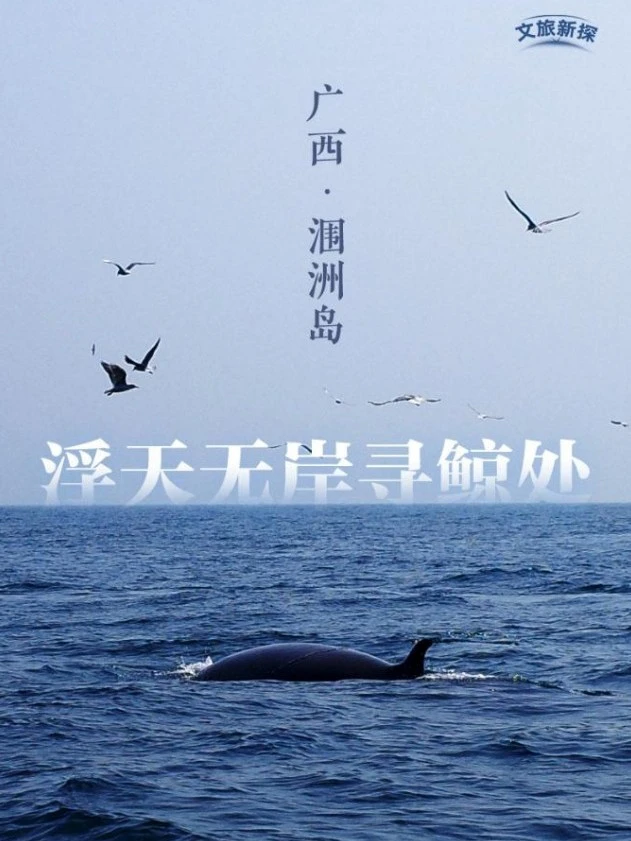 悦榕集团双11住2赠1 悦榕庄2388起 子品牌399住汤泉房