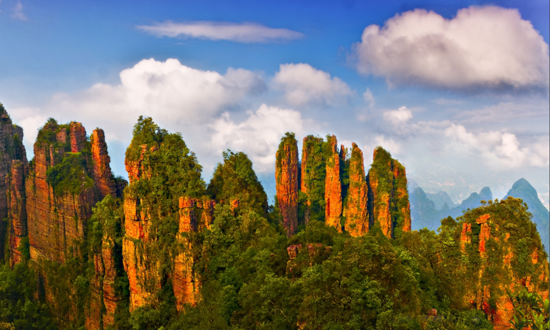 贵港191是什么医院财政部点名表扬！贵港入选！全广西仅两个..._https://www.jmylbn.com_新闻资讯_第13张