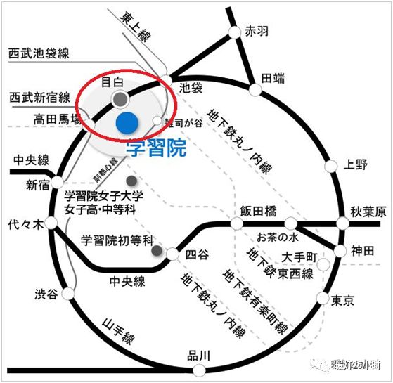 線 運用 山手
