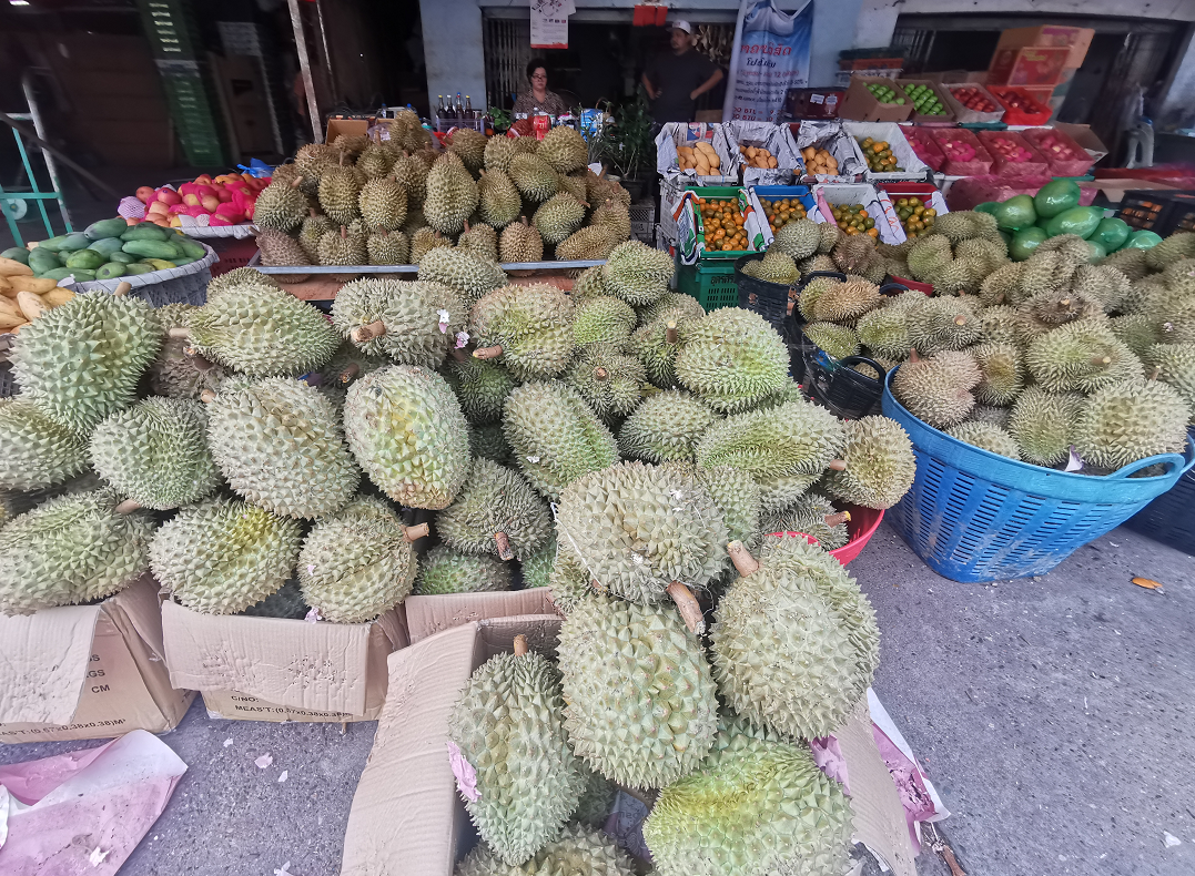 农业老挝榴莲大上市20多元公斤但这些吃榴莲禁忌千万要看