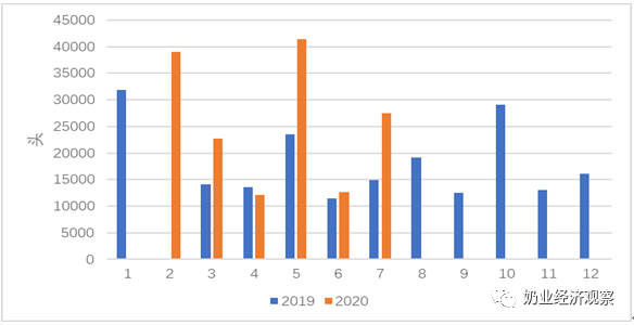 中国奶业贸易月报2020年08月 中国奶业贸易月报2020年08月
